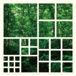 主催イベント「Hyper Sound Forest 」5/11&12