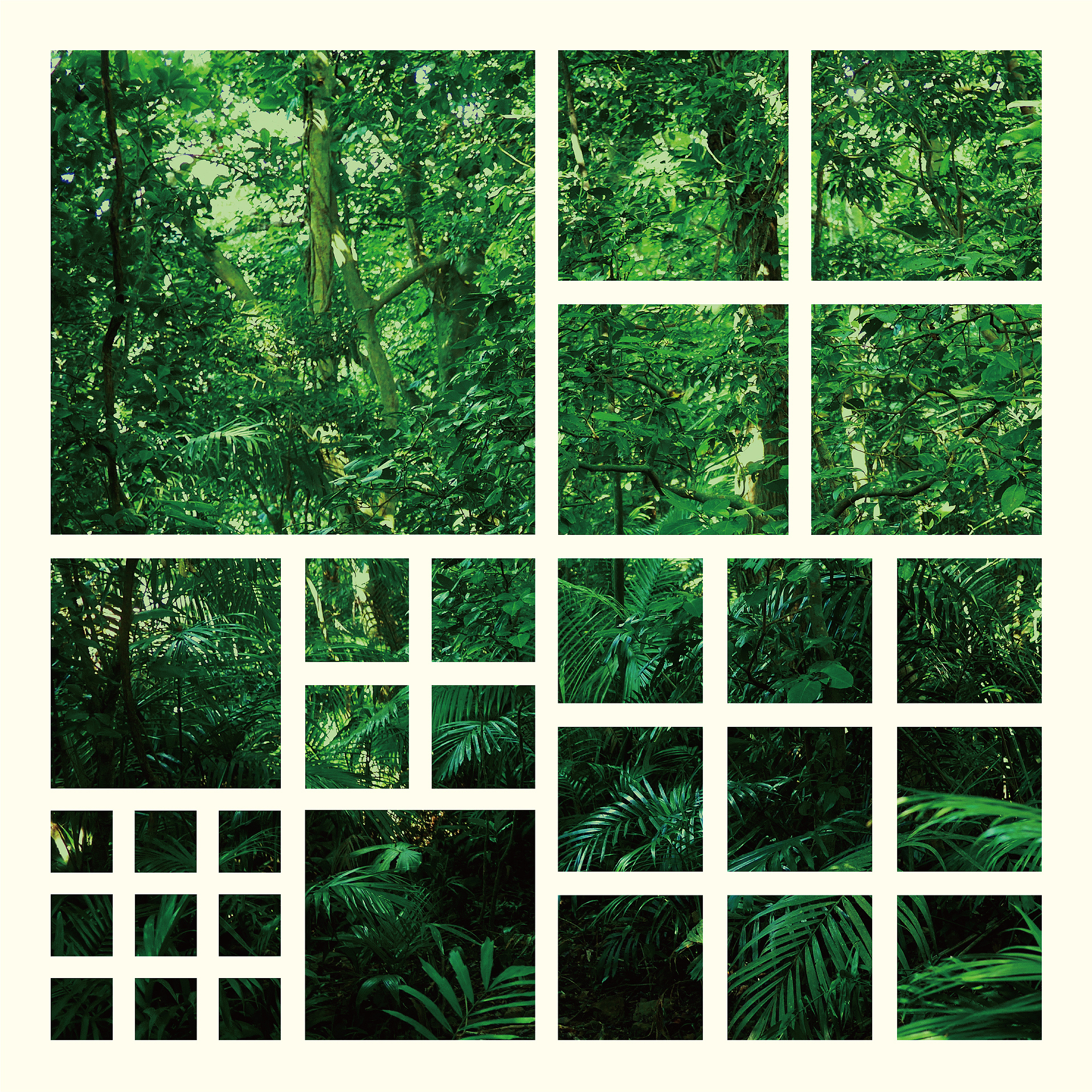 主催イベント「Hyper Sound Forest 」5/11&12