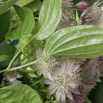 「Hyper Sound Forest」コンサートの記録動画配信スタート！