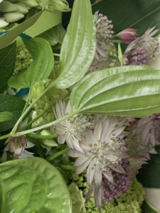 「Hyper Sound Forest」コンサートの記録動画配信スタート！